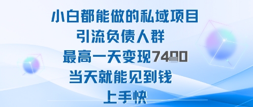 2025年小白都能做的私域项目引流负债人群最高一天变现1k+高变现难度低当天就能见到钱上手快-立业有术