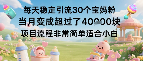 每天稳定引流30个宝妈粉当月变成超过了1W+项目流程非常简单适合小白-立业有术