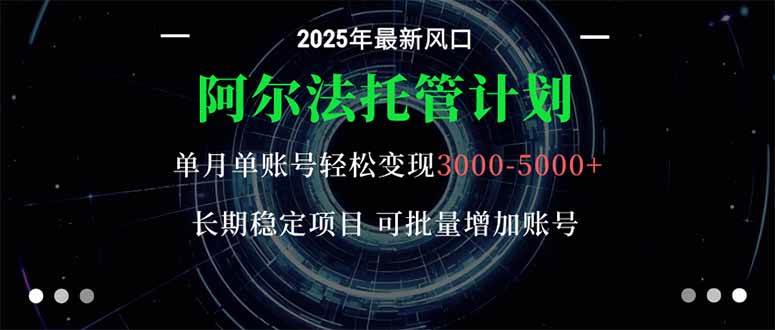 （16360期）阿尔法托管计划 单账号月入3000-5000，长期稳定项目，新手小白轻松上手。-立业有术