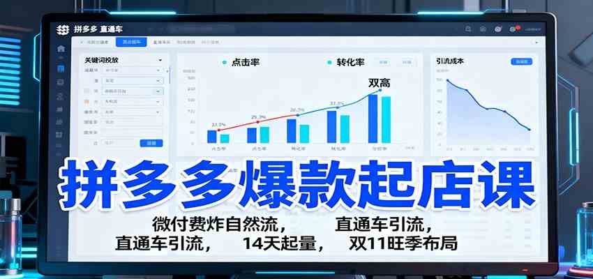 拼多多爆款起店课：微付费炸自然流，直通车引流，14天起量，双11旺季布局-立业有术