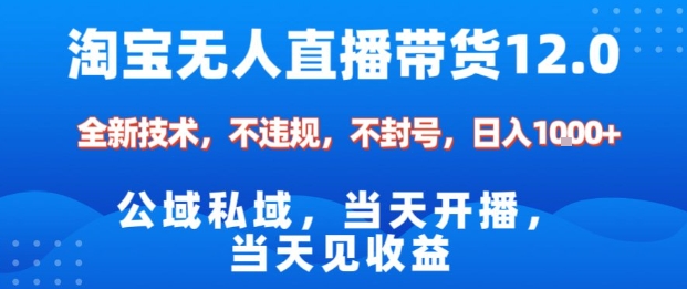 淘宝无人直播12.0，公域私域技术，不封号，不违规布局双十一流量风口，日入1k（独家技术）【揭秘】-立业有术