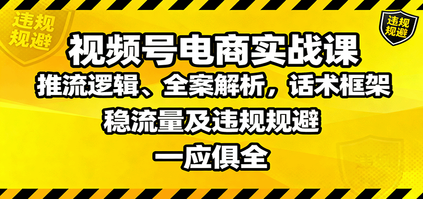 视频号电商实战课：推流逻辑、全案解析，话术框架，稳流量及违规规避等-立业有术