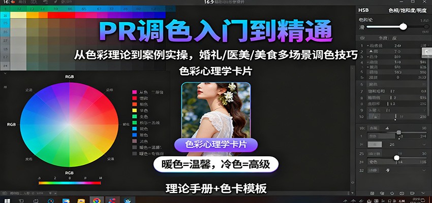 PR调色入门到精通：从色彩理论到案例实操，婚礼/医美/美食多场景调色技巧-立业有术