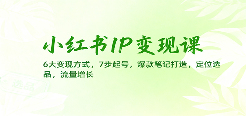 小红书IP变现课：6大变现方式，7步起号，爆款笔记打造，定位选品，流量增长-立业有术