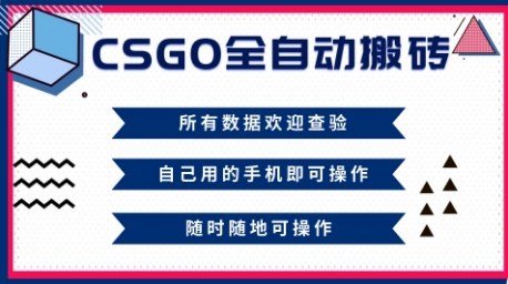 CSGO全自动搬砖，年底钱回家好项目，当天可拿到结果，新手小白轻松月入1W+【揭秘】-立业有术