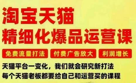 淘宝天猫精细化爆品运营课，免费流量打法-付费广告放大-利润增长-三大核心痛点，一次全部解决-立业有术