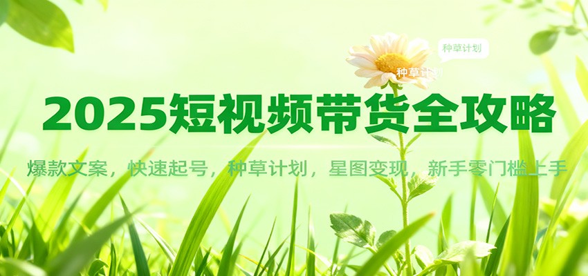 2025短视频带货全攻略：爆款文案，快速起号，种草计划，星图变现，新手零门槛上手-立业有术