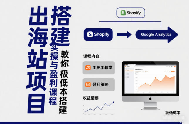 小淘出海站项目，搭建实操与盈利课程，手把手教你用极低成本搭建-立业有术