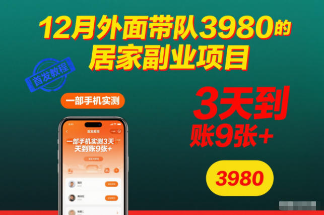 12月外面带队3980的居家副业项目，一部手机实测3天到账9张+，首发教程【揭秘】-立业有术