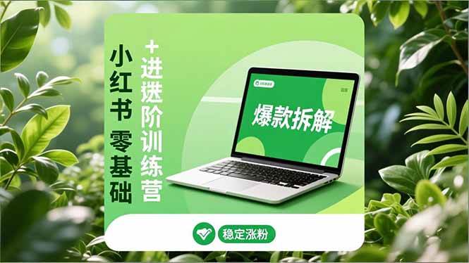 （16801期）小红书零基础+高阶训练营：安全养号、爆款拆解、长效运营，实现稳定涨粉与变现-立业有术