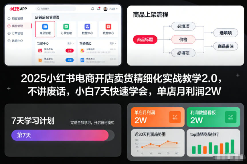 2025小红书电商开店卖货精细化实战教学2.0，不讲废话，小白7天快速学会，单店月利润2W-立业有术
