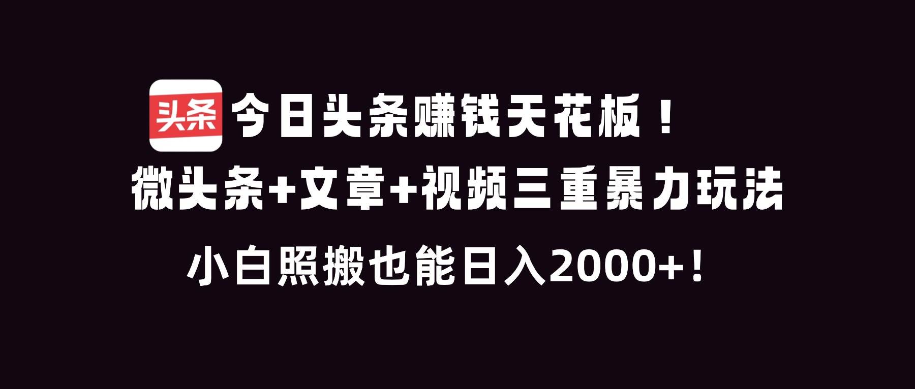 （16888期）今日头条赚钱天花板！微头条+文章+视频三重暴利玩法，小白照搬也能日人2000+-立业有术
