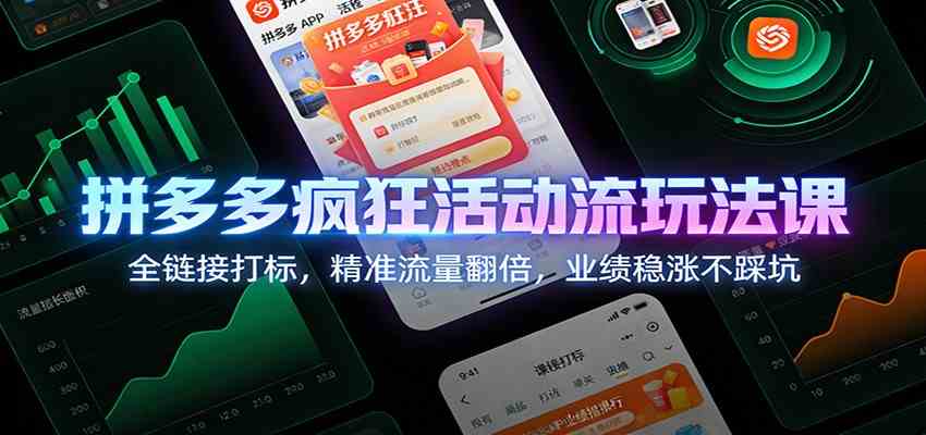 拼多多疯狂活动流玩法课：全链接打标，精准流量翻倍，业绩稳涨不踩坑-立业有术