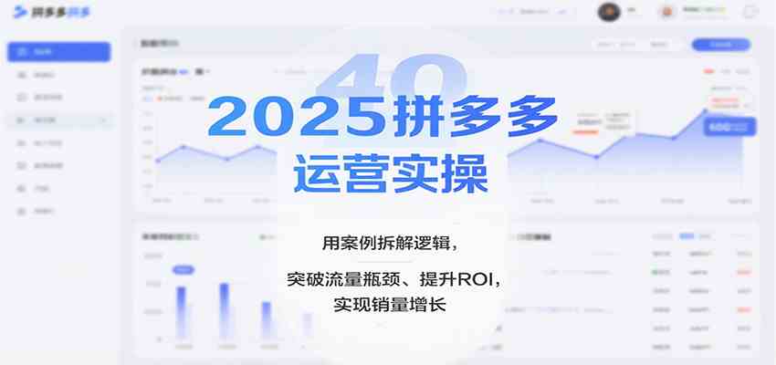2025拼多多运营实操，用案例拆解逻辑，突破流量瓶颈、提升ROI，实现销量增长（更新）-立业有术