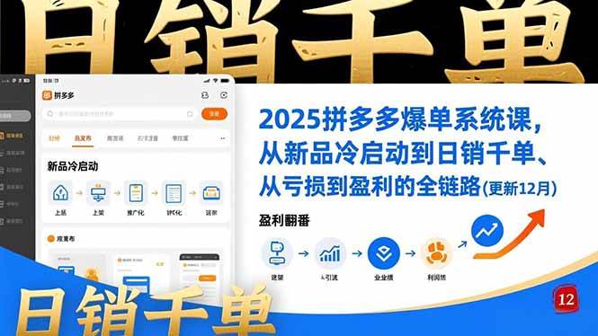 （16894期）2025拼多多爆单系统课，从新品冷启动到日销千单、从亏损到盈利的全链路（更新12月）-立业有术