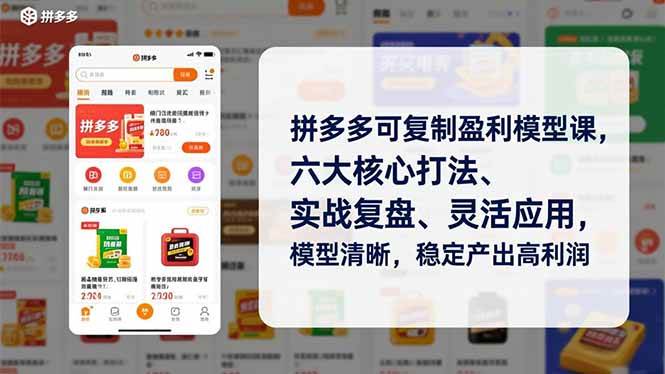 （16952期）拼多多可复制盈利模型课，六大核心打法、实战复盘、灵活应用，模型清晰，稳定产出高利润-立业有术
