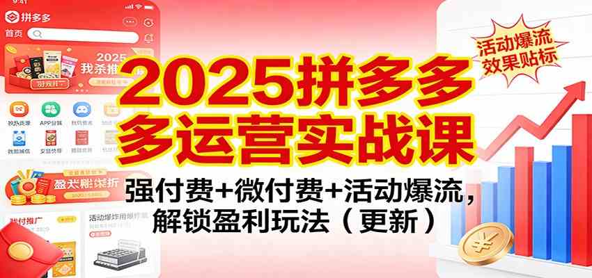 2025拼多多运营实战课：强付费+微付费+活动爆流，解锁盈利玩法（更新）-立业有术