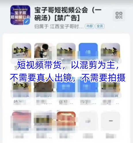 宝子哥头部团队短视频带货，以混剪为主，不需要真人出镜，不需要拍摄【更新12月】-立业有术