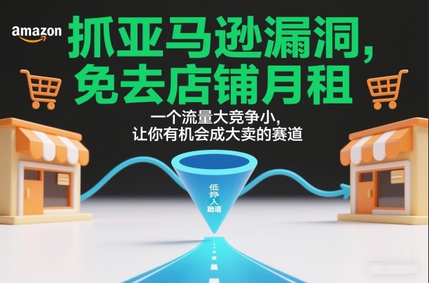 抓亚马逊漏洞，免去店铺月租，一个流量大竞争小，让你有机会成大卖的赛道-立业有术