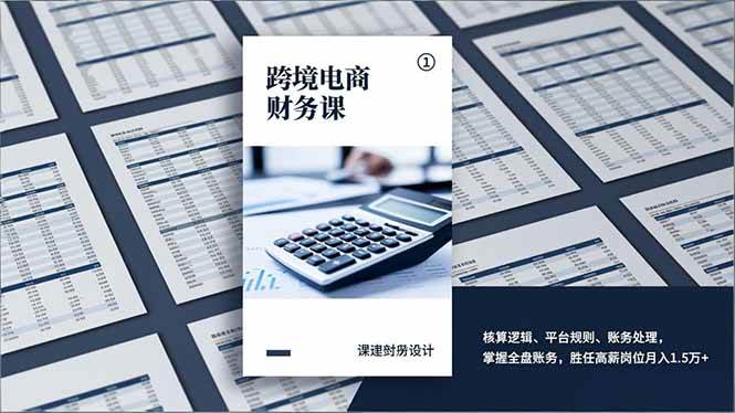 （17036期）跨境电商财务课，核算逻辑、平台规则、账务处理，掌握全盘账务，胜任高薪岗位月入1.5万+-立业有术