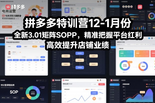 拼多多特训营12-1月份，全新3.01矩阵Sop，精准把握平台红利，高效提升店铺业绩-立业有术