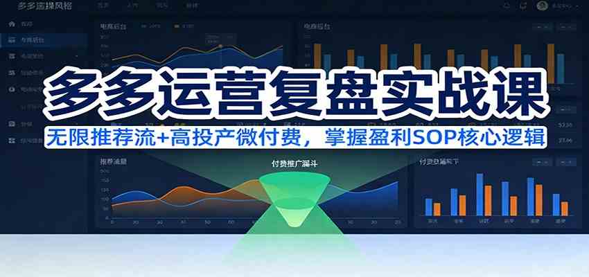 多多运营复盘实战课：无限推荐流+高投产微付费，掌握盈利SOP核心逻辑（更新）-立业有术