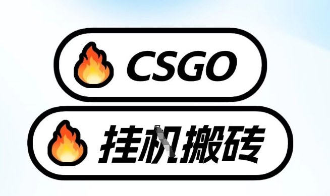 真全网独家CSGO挂G，最新玩法,单日捡漏1K+，不用电脑，不用打游戏【揭秘】-立业有术