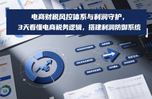 电商财税风控体系与利润守护，3天看懂电商税务逻辑，搭建利润防御系统-立业有术