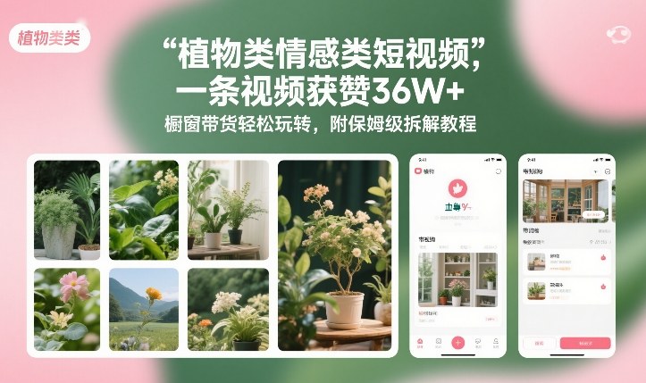 植物类情感类短视频，一条视频获赞36W+，橱窗带货轻松玩转，附保姆级拆解教程-立业有术