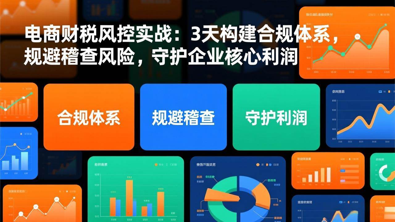 （17197期）电商财税风控实战：3天构建合规体系，规避稽查风险，守护企业核心利润-立业有术