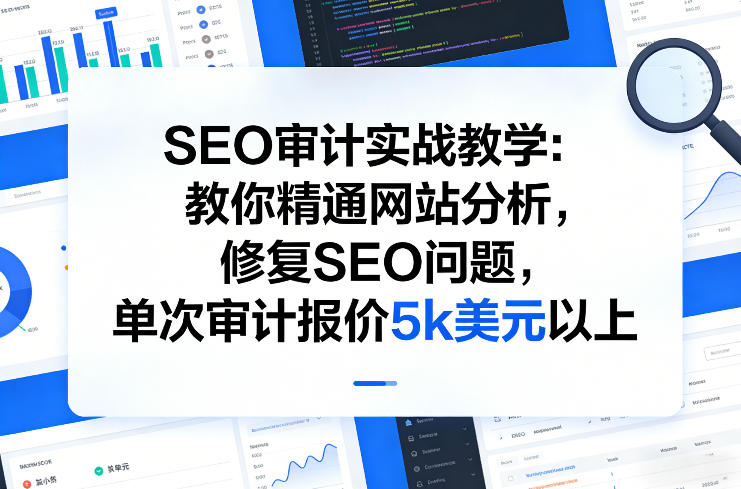 SEO审计实战教学：教你精通网站分析，修复SEO问题，单次审计报价5k美元以上-立业有术