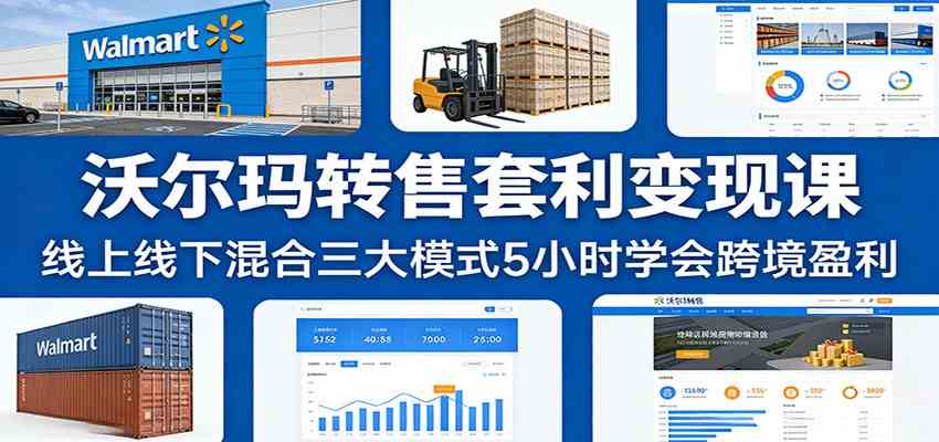 沃尔玛转售套利变现课：线上线下混合三大模式5小时学会跨境盈利-立业有术