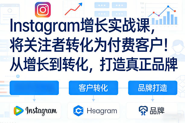 Instagram增长实战课，将关注者转化为付费客户！从增长到转化，打造真正品牌（双语字幕）-立业有术