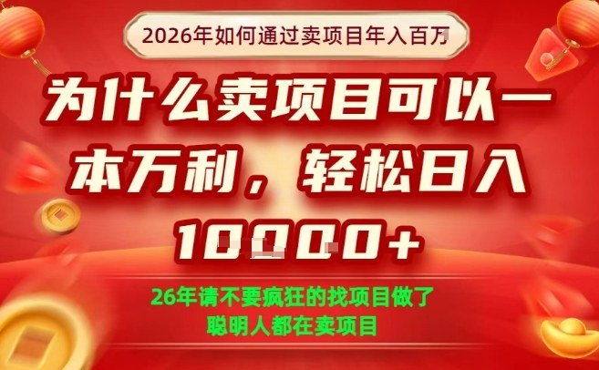 一单净利润1K+，26年想年入100个W，死磕卖项目就够了【揭秘】-立业有术