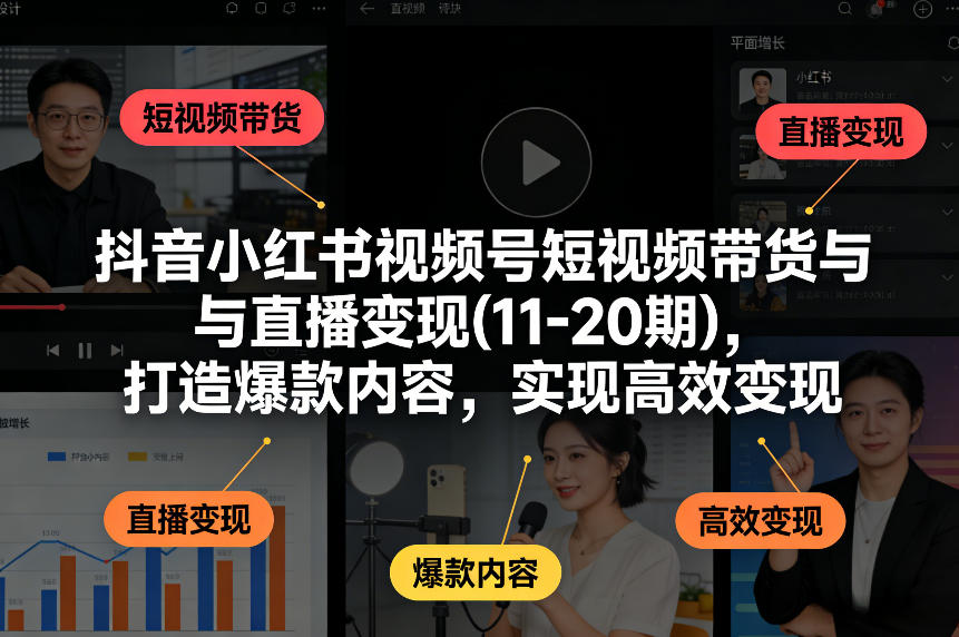 抖音小红书视频号短视频带货与直播变现(10-20期)，打造爆款内容，实现高效变现（更新）-立业有术