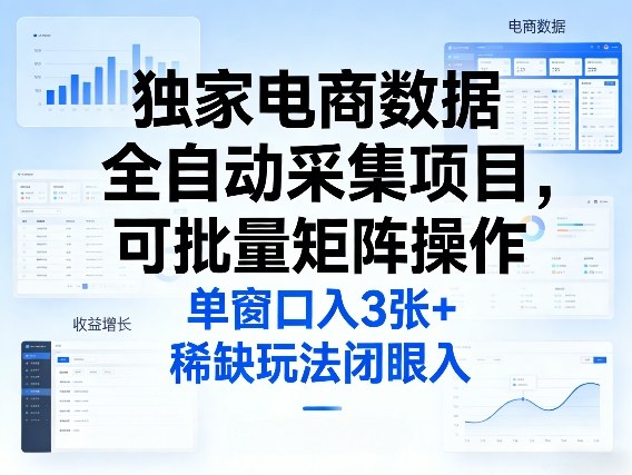 独家电商数据全自动采集项目，可批量矩阵操作，单窗口日入3张+，稀缺玩法闭眼入【揭秘】-立业有术