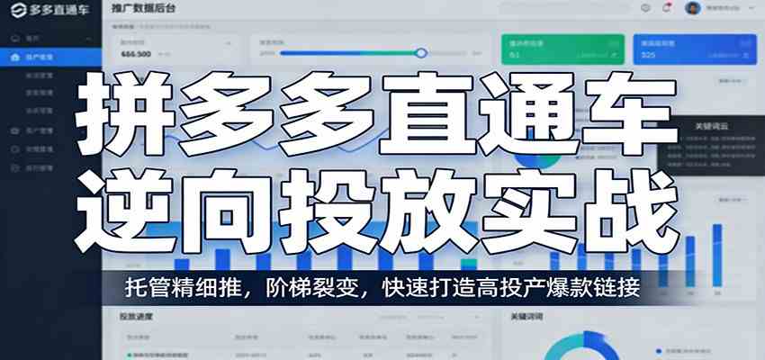 拼多多直通车逆向投放实战：托管精细推，阶梯裂变，快速打造高投产爆款链接-立业有术